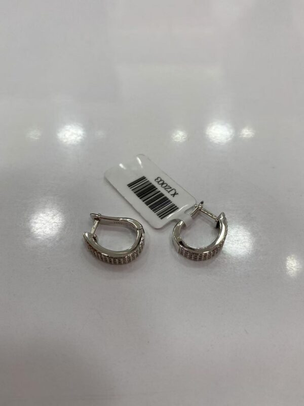 XJZ003 Paved Hoop Earrings