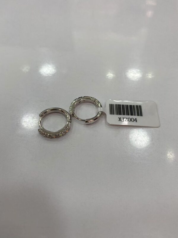 XJZ004 Partial Paved Hoop Earrings