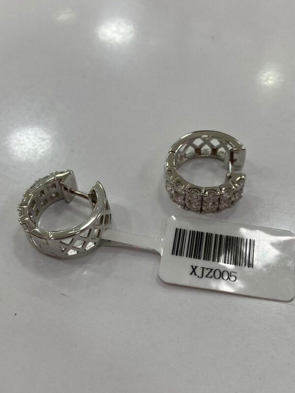 XJZ005 Moissanite Earrings