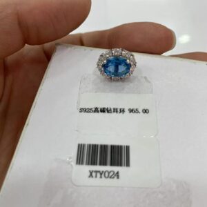 XTY024 Fancy Blue Round Earrings
