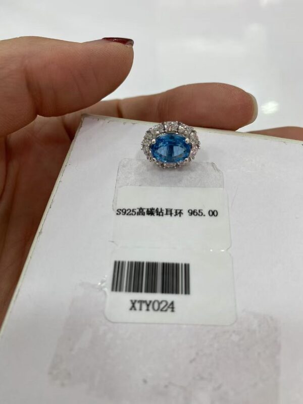 XTY024 Fancy Blue Round Earrings